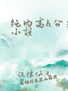 纯肉高h公交车小说