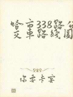 哈市338路公交车路线图