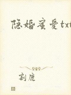 隐婚蜜爱txt