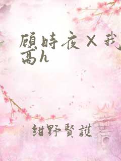顾时夜×我车肉高h