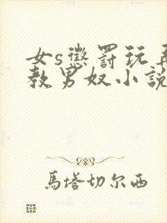 女s惩罚玩弄调教男奴小说
