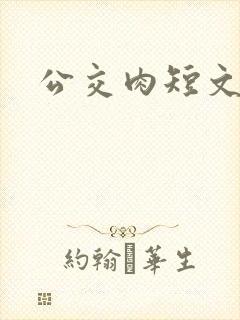 公交肉短文