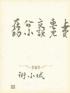 在公交车上高潮的小说免费阅读