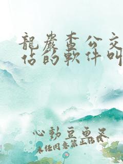 龙岩查公交车到站的软件叫什么