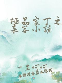 极品家丁之远方来客小说