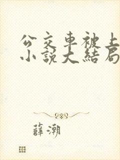公交车被上高潮小说大结局