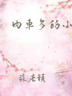 肉车多的小说