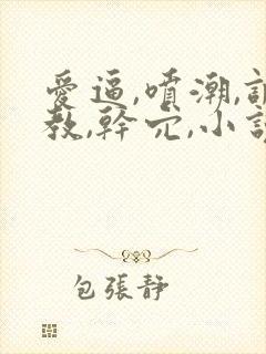 爱逼,喷潮,调教,干穴,小说