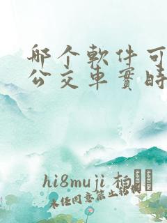 哪个软件可以看公交车实时位置