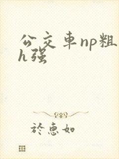 公交车np粗暴h强