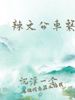 辣文公车系列