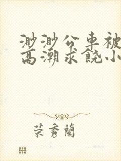 渺渺公车被d到高潮求饶小说