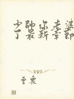 少帅你老婆又跑了最新章节新
