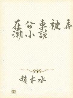 在公车被弄到高潮小说