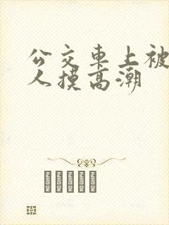 公交车上被陌生人摸高潮