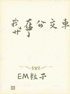我在公交车上被艹了