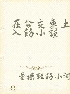 在公交车上被后入的小说