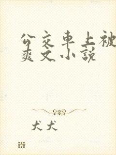 公交车上被强上爽文小说