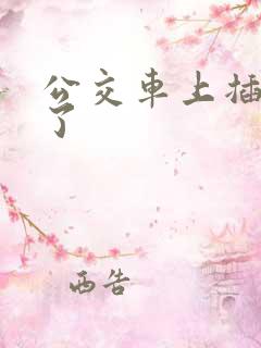 公交车上插进去了