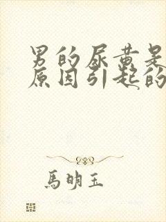 男的尿黄是什么原因引起的