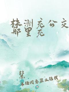 株洲充公交卡在哪里充