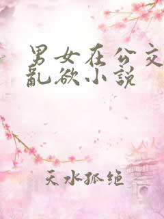 男女在公交车上乱欲小说