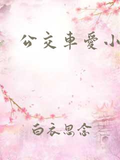 公交车爱小说