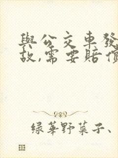 与公交车发生事故,需要赔偿误工费