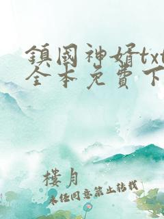 镇国神婿txt全本免费下载