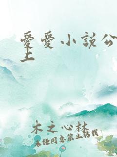 爱爱小说公交车上