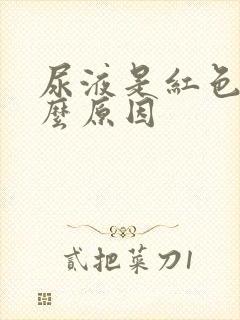 尿液是红色的什么原因