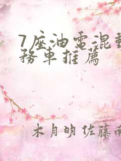 7座油电混动商务车推荐
