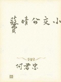 苏晴公交小说免费