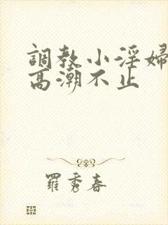 调教小淫妇失禁高潮不止