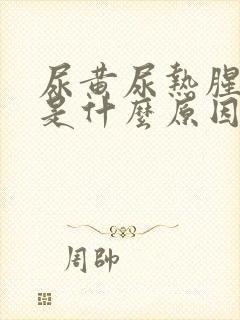尿黄尿热腥臭味是什么原因