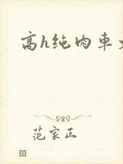 高h纯肉车文