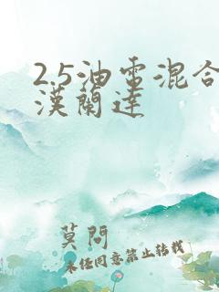 2.5油电混合汉兰达