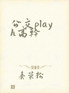 公交play h高干