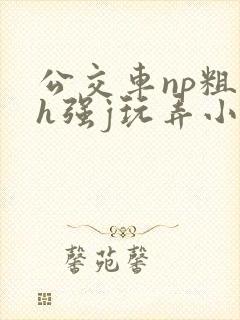 公交车np粗暴h强j玩弄小说