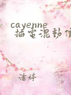 cayenne 插电混动价格多少