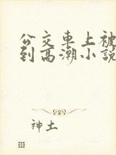公交车上被人摸到高潮小说
