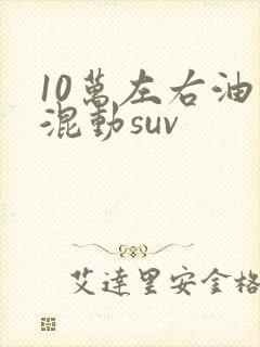 10万左右油电混动suv