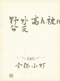 野外高h被np公交