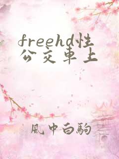 freehd性公交车上