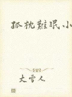 孤枕难眠小说