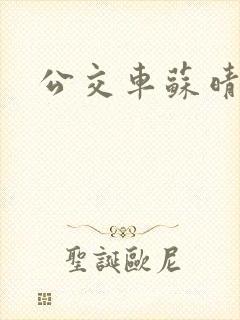 公交车苏晴