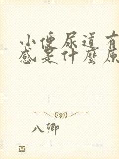 小便尿道有灼烧感是什么原因
