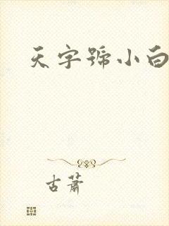 天字号小白脸