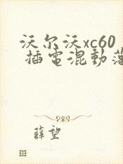 沃尔沃xc60 插电混动落地价多少钱