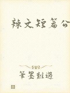 辣文短篇公交车
